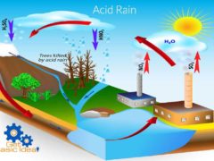 Acid Rain