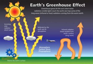 Greenhouse Effect