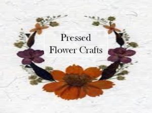 Pressed Flower Craft