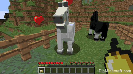 Keep the horses by making fence around them - Breed Horses in Minecraft