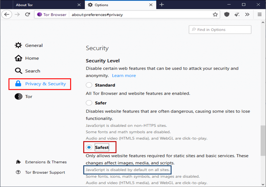 Set the security level to safest in disable JavaScript in Tor browser settings.