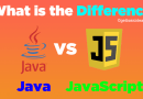What is the Difference Between Java and JavaScript