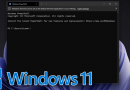 Windows Terminal Get Basic Idea