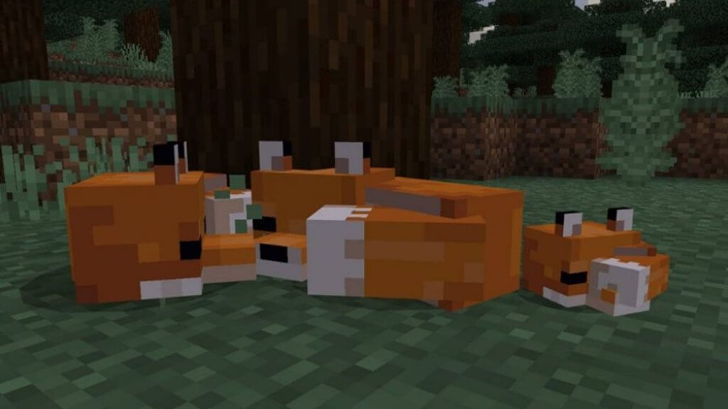 Foxes in Minecraft - Tame a Fox In Minecraft