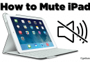 How to Mute iPad?