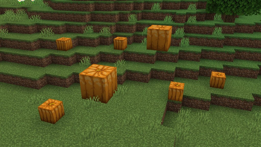 Pumpkins grown in Minecraft