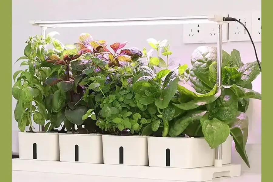 Eco-friendly gift ideas for Christmas 2025: Indoor Herb Garden Kit