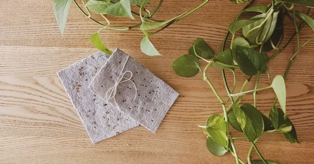 Plantable Seed Paper Card - Eco-friendly gift ideas for Christmas 2025